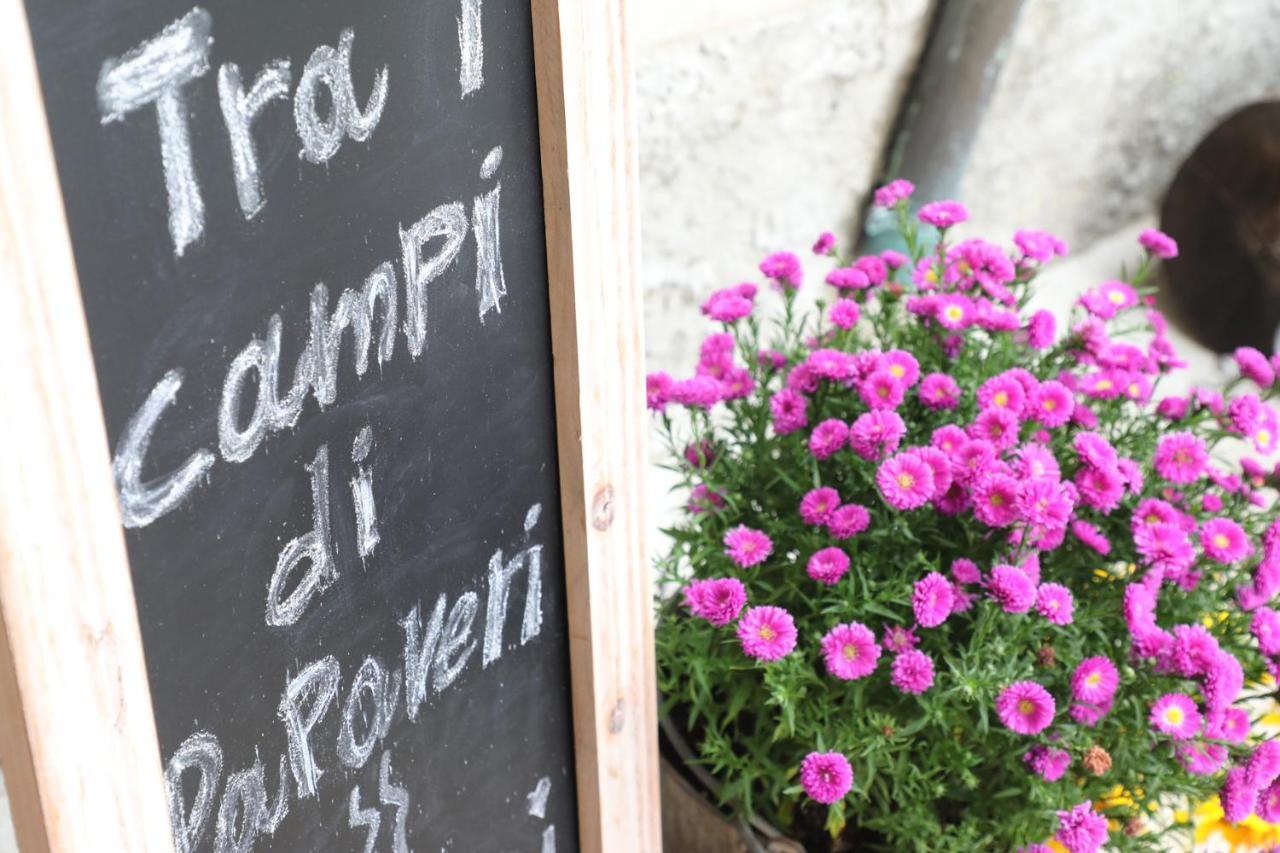 Medesano Tra I Campi Di Papaveri المظهر الخارجي الصورة